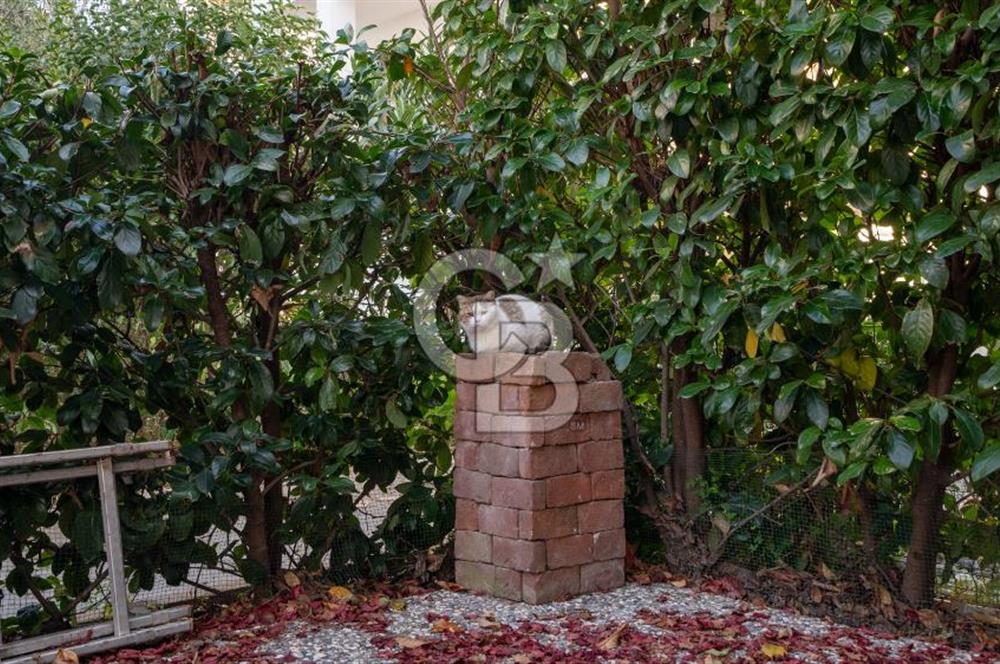 CB MARİNA'DAN ÖRNEKKENT SİTESİNDE FORLEKS VİLLA 