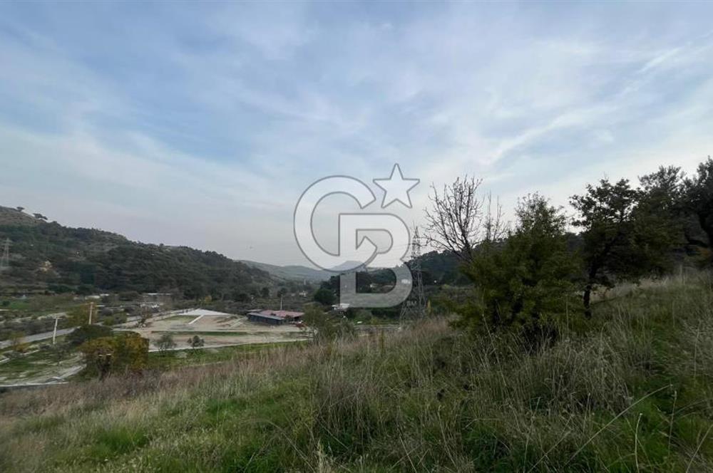 Kozak Bergama Anayolu Üzerinde 7.5 Dönüm Satılık Tarla