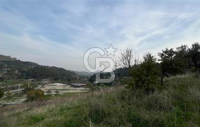Kozak Bergama Anayolu Üzerinde 7.5 Dönüm Satılık Tarla