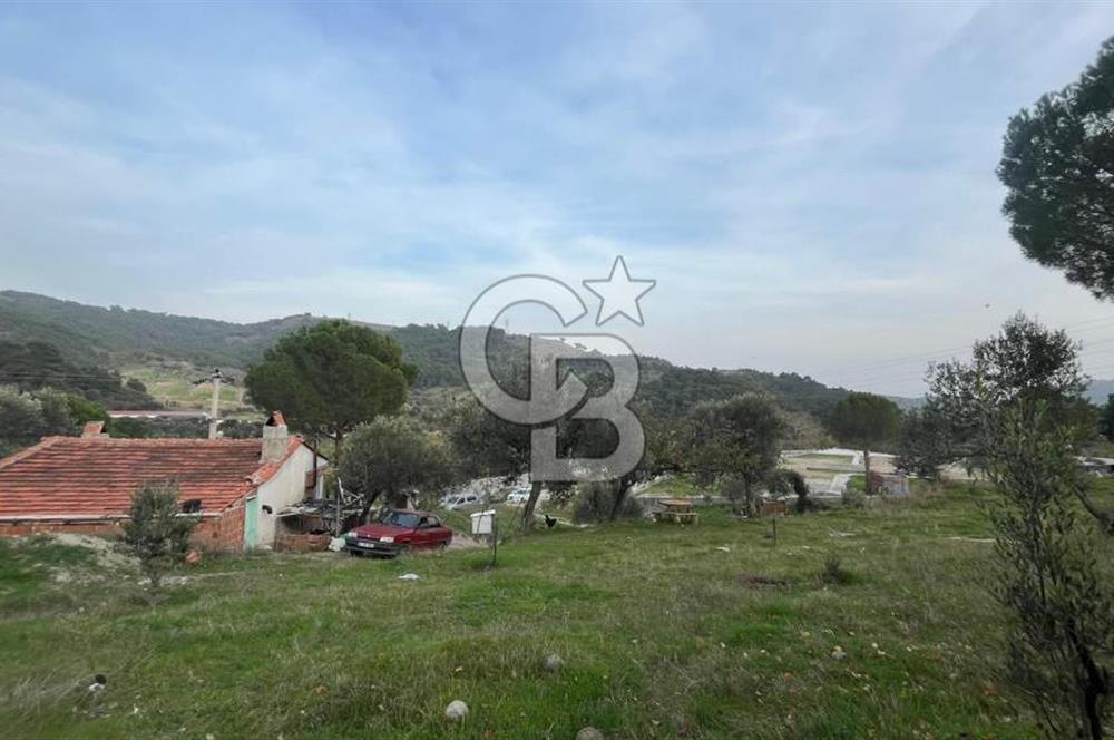 Kozak Bergama Anayolu Üzerinde 7.5 Dönüm Satılık Tarla