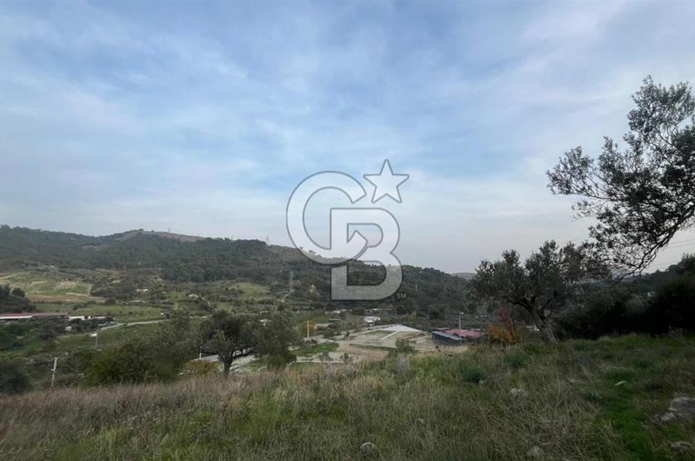 Kozak Bergama Anayolu Üzerinde 7.5 Dönüm Satılık Tarla