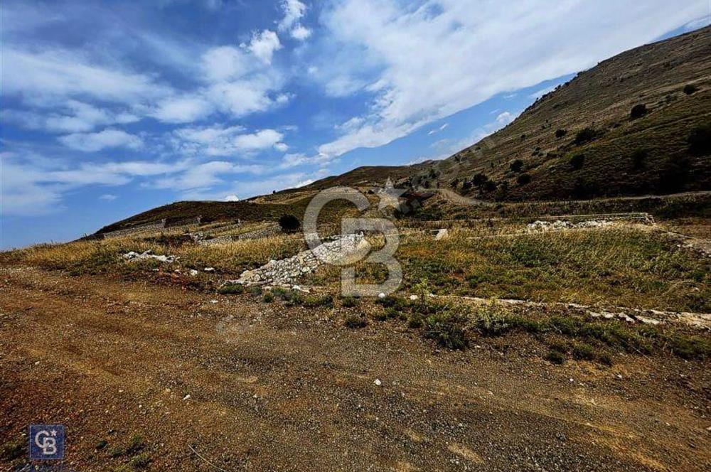 İzmir Seferihisar Çolak İbrahim Bey'de Satılık Arsa