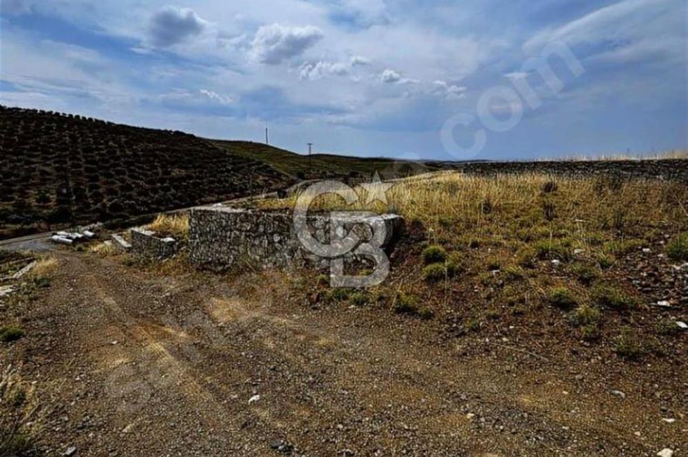 İzmir Seferihisar Çolak İbrahim Bey'de Satılık Arsa
