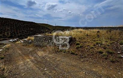 İzmir Seferihisar Çolak İbrahim Bey'de Satılık Arsa