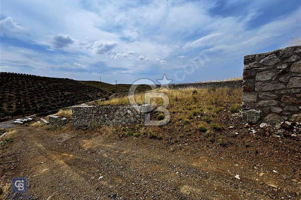 İzmir Seferihisar Çolak İbrahim Bey'de Satılık Arsa