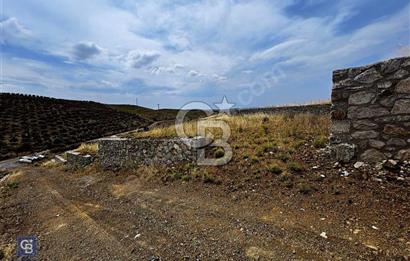 İzmir Seferihisar Çolak İbrahim Bey'de Satılık Arsa