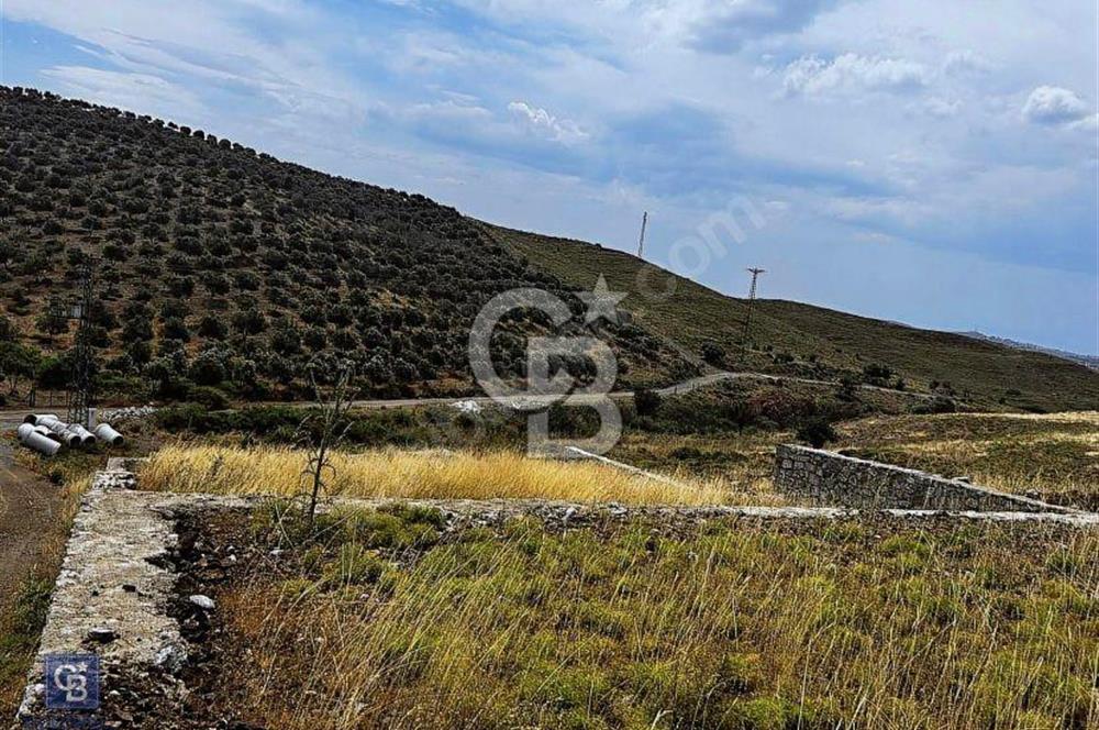 İzmir Seferihisar Çolak İbrahim Bey'de Satılık Arsa