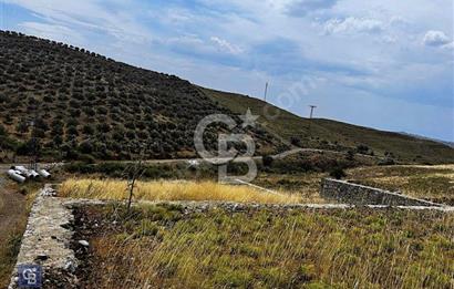 İzmir Seferihisar Çolak İbrahim Bey'de Satılık Arsa