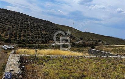 İzmir Seferihisar Çolak İbrahim Bey'de Satılık Arsa
