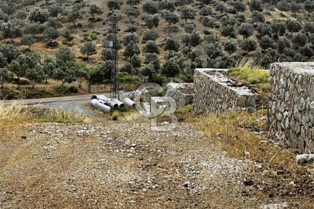 İzmir Seferihisar Çolak İbrahim Bey'de Satılık Arsa