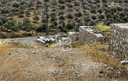 İzmir Seferihisar Çolak İbrahim Bey'de Satılık Arsa