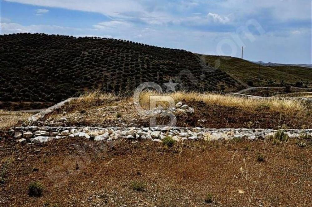 İzmir Seferihisar Çolak İbrahim Bey'de Satılık Arsa