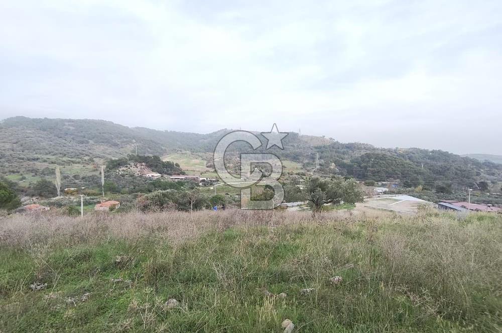 Kozak Bergama Anayolu Üzerinde 7.5 Dönüm Satılık Tarla