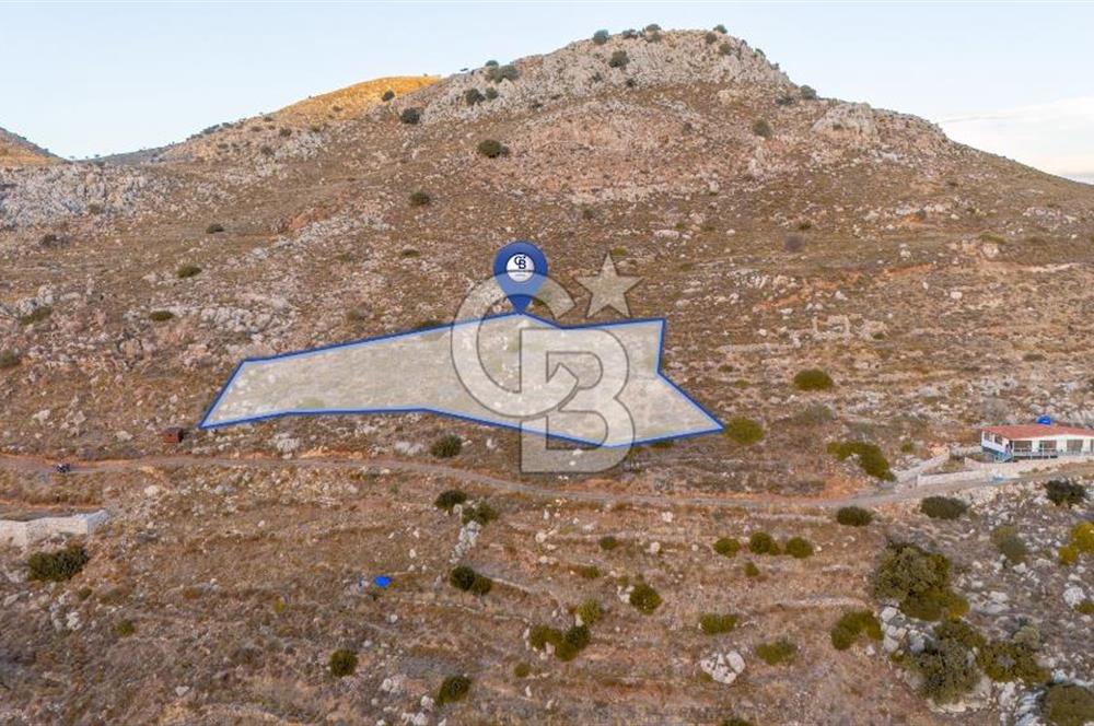 CB MARİNA' DAN BOZBURUN'DA DENİZE YÜRÜME MESAFESİ SATILIK TARLA