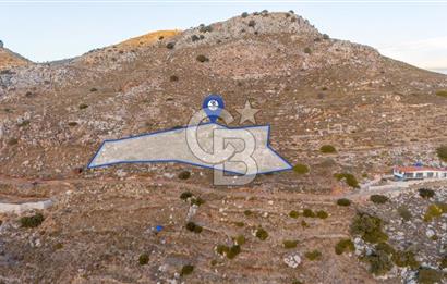 CB MARİNA' DAN BOZBURUN'DA DENİZE YÜRÜME MESAFESİ SATILIK TARLA