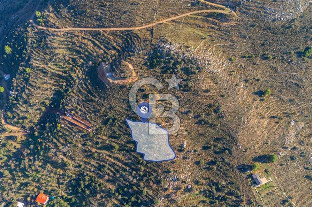 CB MARİNA' DAN BOZBURUN'DA DENİZE YÜRÜME MESAFESİ SATILIK TARLA