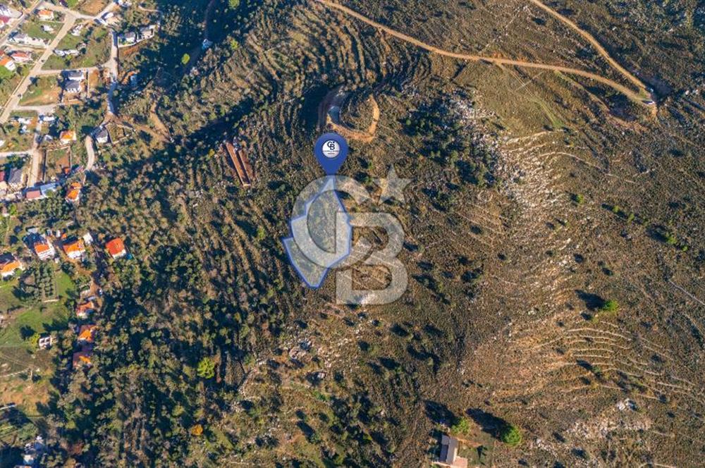 CB MARİNA' DAN BOZBURUN'DA DENİZE YÜRÜME MESAFESİ SATILIK TARLA