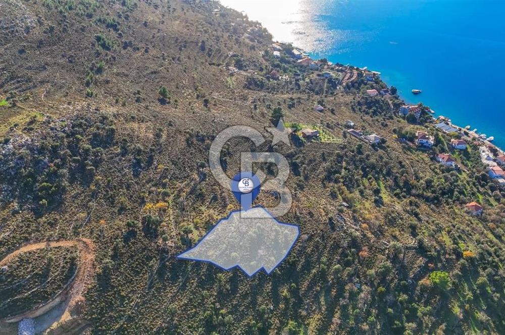 CB MARİNA' DAN BOZBURUN'DA DENİZE YÜRÜME MESAFESİ SATILIK TARLA