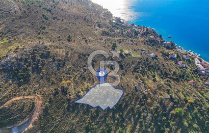 CB MARİNA' DAN BOZBURUN'DA DENİZE YÜRÜME MESAFESİ SATILIK TARLA