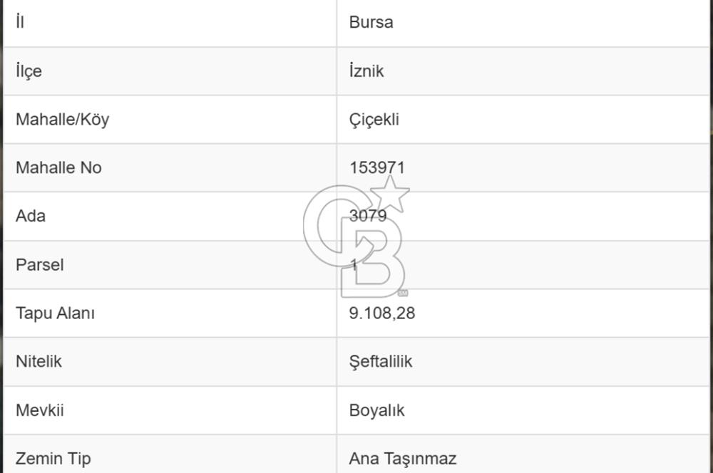 BURSA İZNİK ÇİÇEKLİ MAHALLESİ SATILIK ZEYTİNLİK HİSSESİ