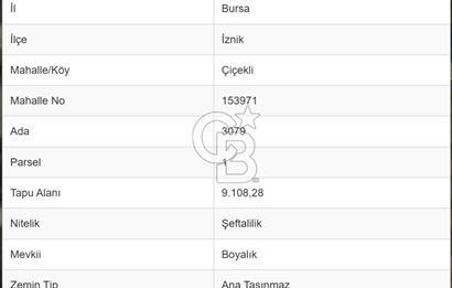 BURSA İZNİK ÇİÇEKLİ MAHALLESİ SATILIK ZEYTİNLİK HİSSESİ