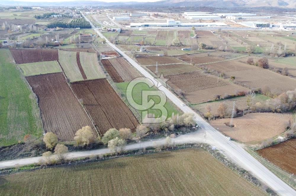 CB ELEGANCE' DEN PAZARYERİ ASFALTI ÜZERİNDE 2.166 M² TARLA