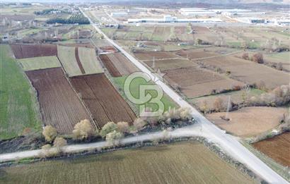 CB ELEGANCE' DEN PAZARYERİ ASFALTI ÜZERİNDE 2.166 M² TARLA