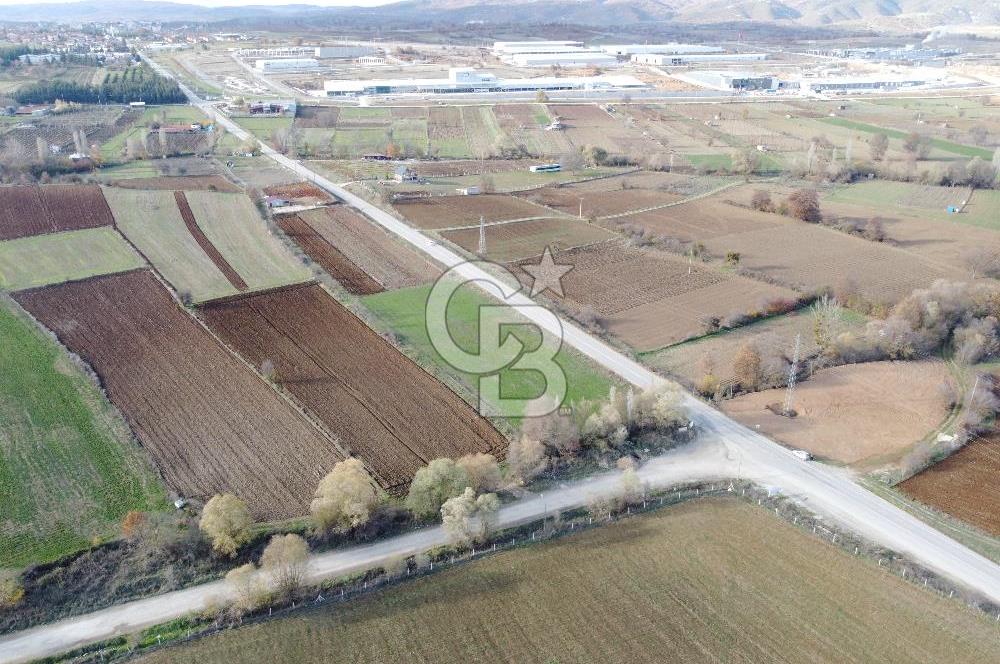 CB ELEGANCE' DEN PAZARYERİ ASFALTI ÜZERİNDE 2.166 M² TARLA
