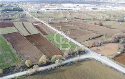 CB ELEGANCE' DEN PAZARYERİ ASFALTI ÜZERİNDE 2.166 M² TARLA