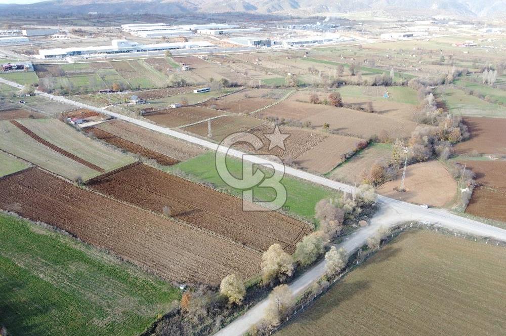 CB ELEGANCE' DEN PAZARYERİ ASFALTI ÜZERİNDE 2.166 M² TARLA