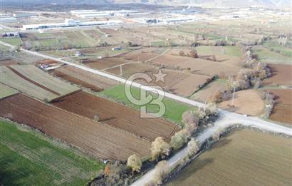 CB ELEGANCE' DEN PAZARYERİ ASFALTI ÜZERİNDE 2.166 M² TARLA