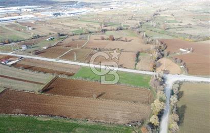 CB ELEGANCE' DEN PAZARYERİ ASFALTI ÜZERİNDE 2.166 M² TARLA