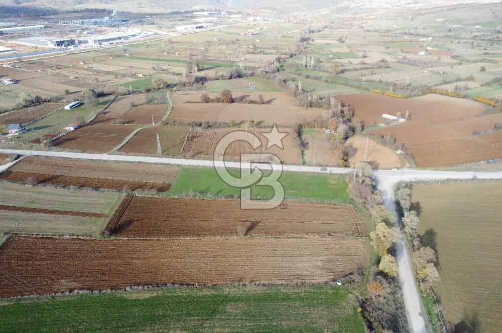 CB ELEGANCE' DEN PAZARYERİ ASFALTI ÜZERİNDE 2.166 M² TARLA