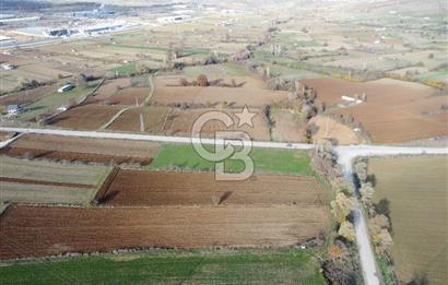 CB ELEGANCE' DEN PAZARYERİ ASFALTI ÜZERİNDE 2.166 M² TARLA