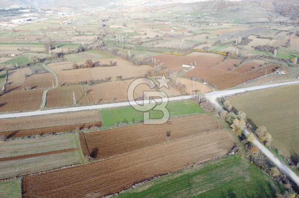 CB ELEGANCE' DEN PAZARYERİ ASFALTI ÜZERİNDE 2.166 M² TARLA