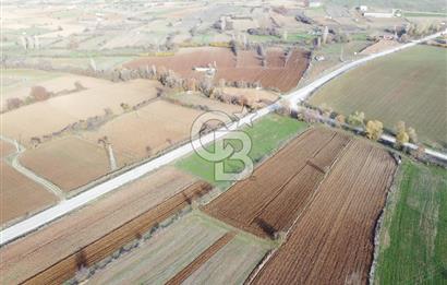 CB ELEGANCE' DEN PAZARYERİ ASFALTI ÜZERİNDE 2.166 M² TARLA