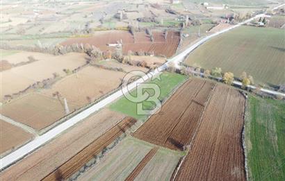 CB ELEGANCE' DEN PAZARYERİ ASFALTI ÜZERİNDE 2.166 M² TARLA