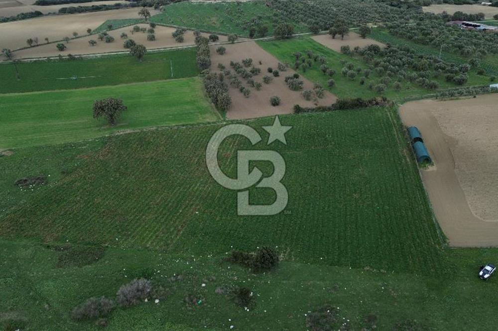 Çanakkale Halileli Köyü Satılık 11.050 M² Tarla !