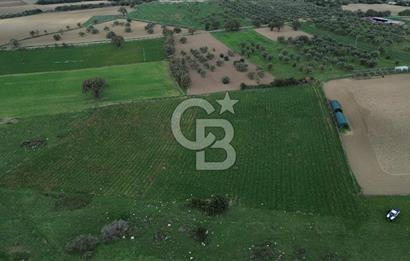 Çanakkale Halileli Köyü Satılık 11.050 M² Tarla !