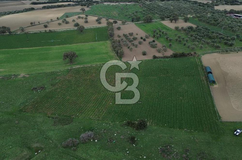 Çanakkale Halileli Köyü Satılık 11.050 M² Tarla !