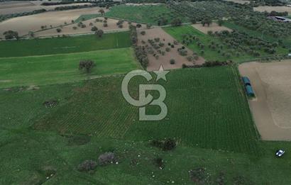 Çanakkale Halileli Köyü Satılık 11.050 M² Tarla !