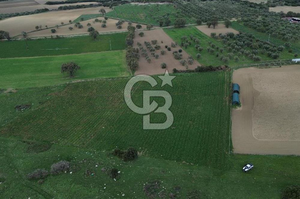 Çanakkale Halileli Köyü Satılık 11.050 M² Tarla !