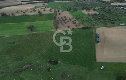 Çanakkale Halileli Köyü Satılık 11.050 M² Tarla !