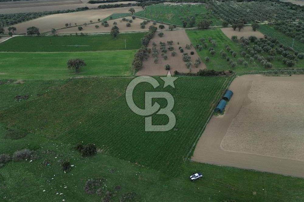 Çanakkale Halileli Köyü Satılık 11.050 M² Tarla !