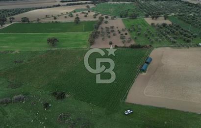 Çanakkale Halileli Köyü Satılık 11.050 M² Tarla !