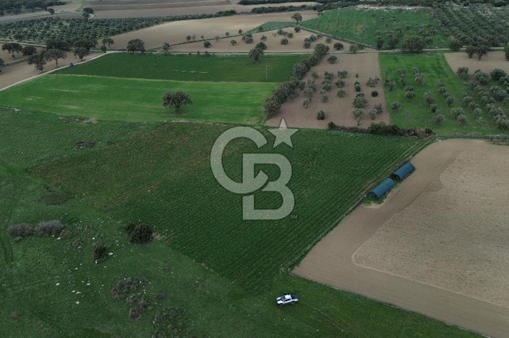 Çanakkale Halileli Köyü Satılık 11.050 M² Tarla !