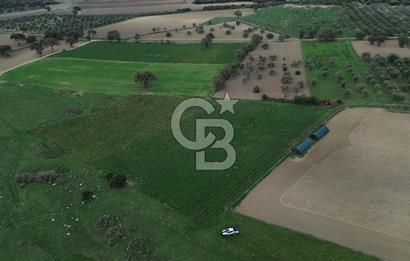 Çanakkale Halileli Köyü Satılık 11.050 M² Tarla !