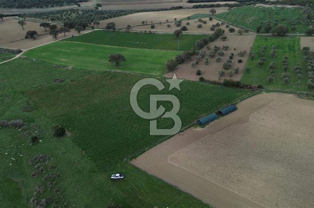 Çanakkale Halileli Köyü Satılık 11.050 M² Tarla !