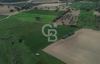 Çanakkale Halileli Köyü Satılık 11.050 M² Tarla !