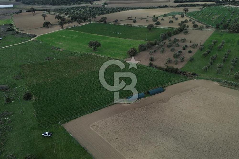 Çanakkale Halileli Köyü Satılık 11.050 M² Tarla !